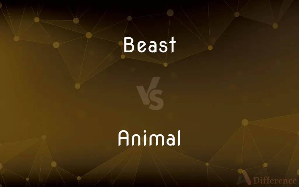 Beast vs. Animal — What's the Difference?