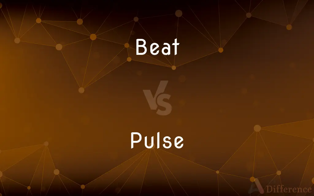 Beat vs. Pulse — What's the Difference?