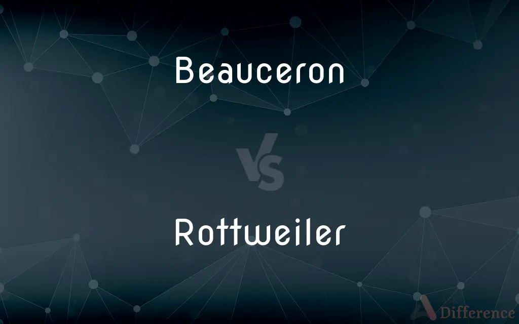 Beauceron vs. Rottweiler — What's the Difference?