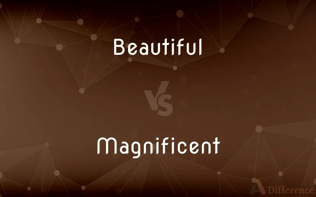Beautiful vs. Magnificent — What's the Difference?