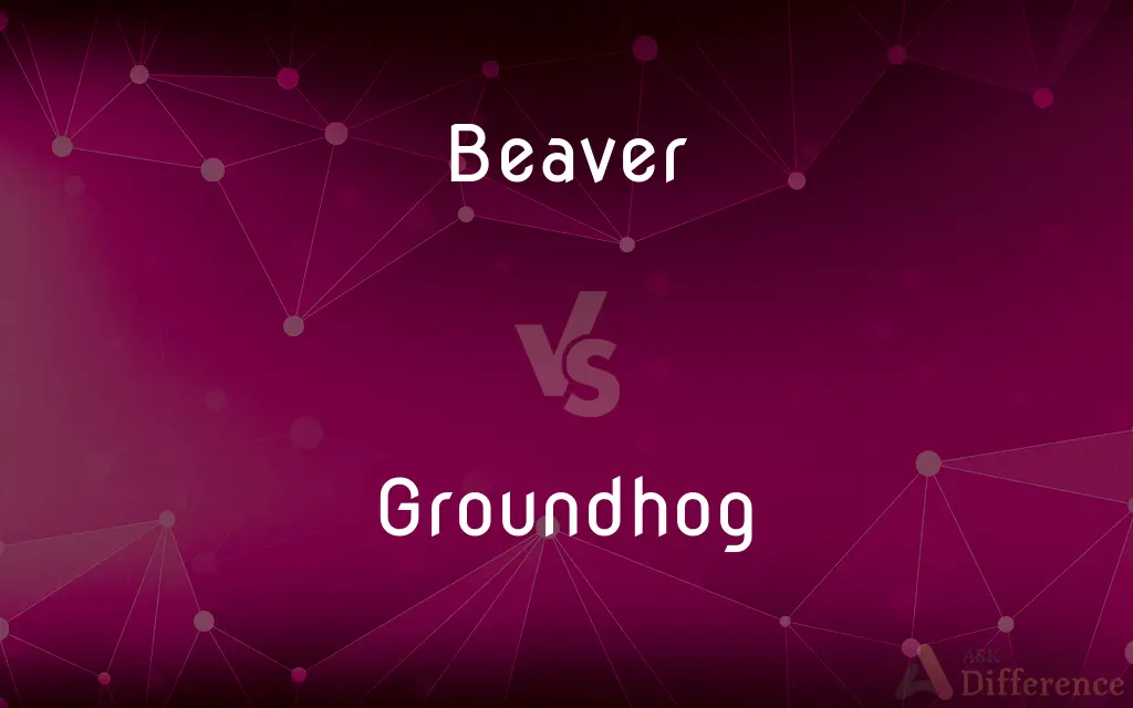 Beaver vs. Groundhog — What's the Difference?