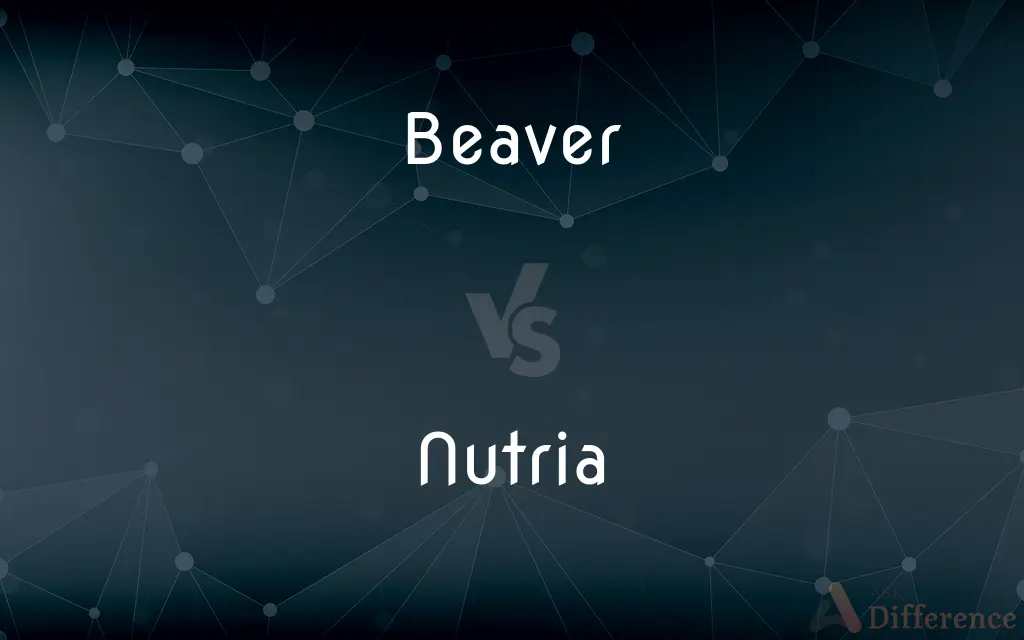 Beaver vs. Nutria — What's the Difference?