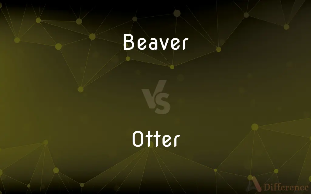 Beaver vs. Otter — What's the Difference?