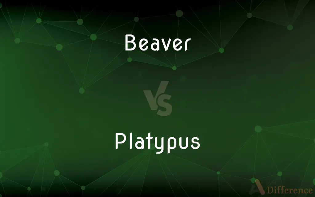 Beaver vs. Platypus — What's the Difference?