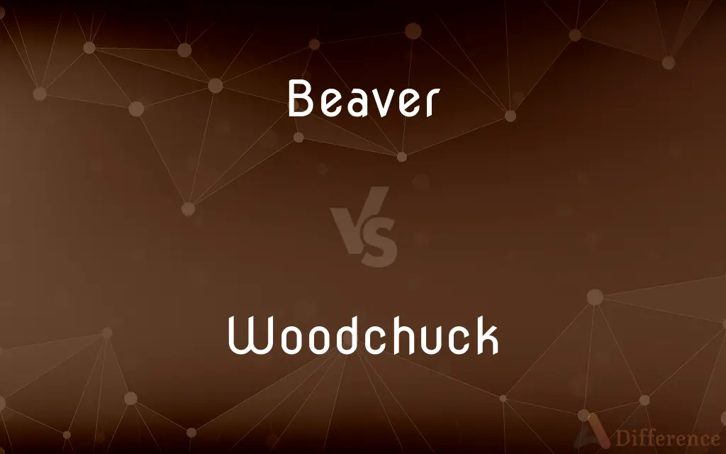 Beaver vs. Woodchuck — What's the Difference?
