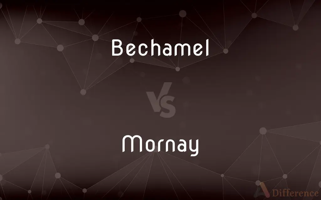 Bechamel vs. Mornay — What's the Difference?