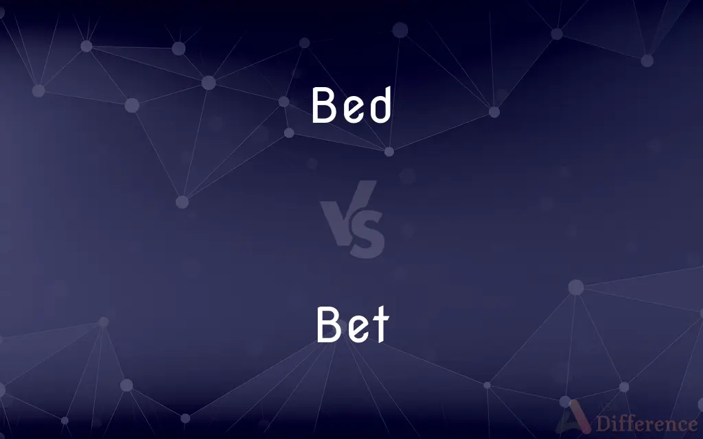 Bed vs. Bet — What's the Difference?