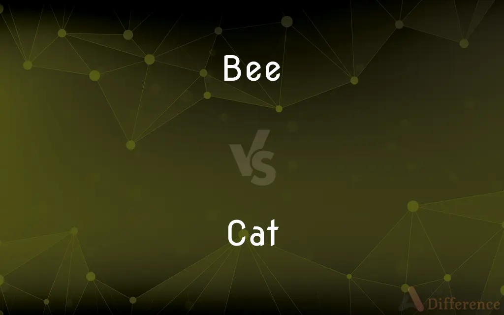 Bee vs. Cat — What's the Difference?