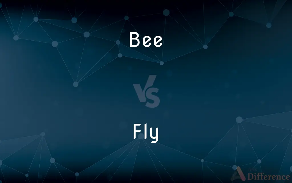 Bee vs. Fly — What's the Difference?