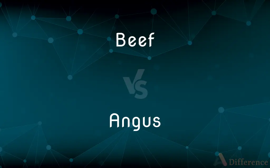 Beef vs. Angus — What's the Difference?