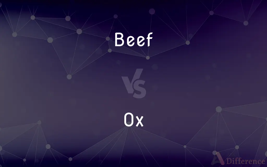 Beef vs. Ox — What's the Difference?
