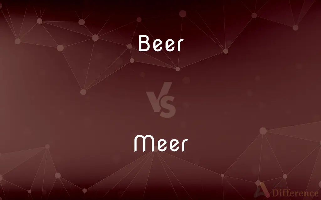 Beer vs. Meer — What's the Difference?