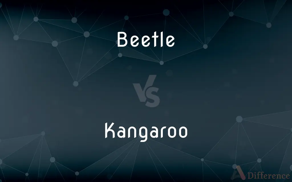 Beetle vs. Kangaroo — What's the Difference?