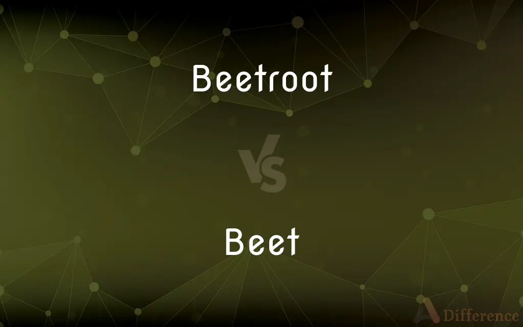 Beetroot vs. Beet — What's the Difference?