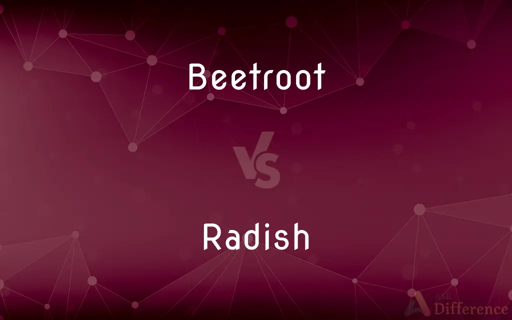 Beetroot vs. Radish — What's the Difference?