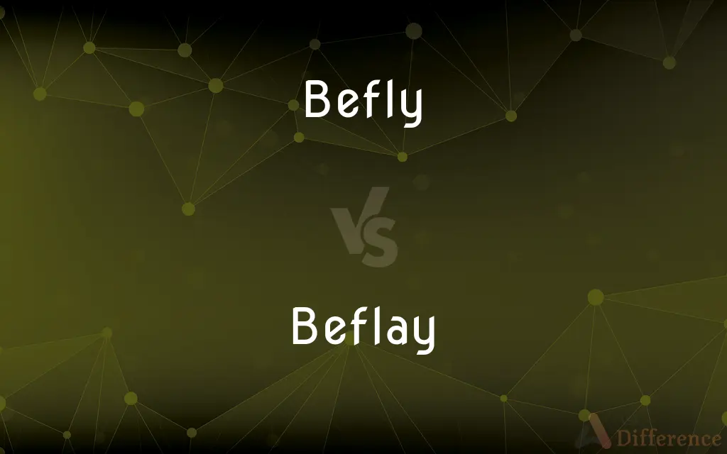 Befly vs. Beflay — What's the Difference?