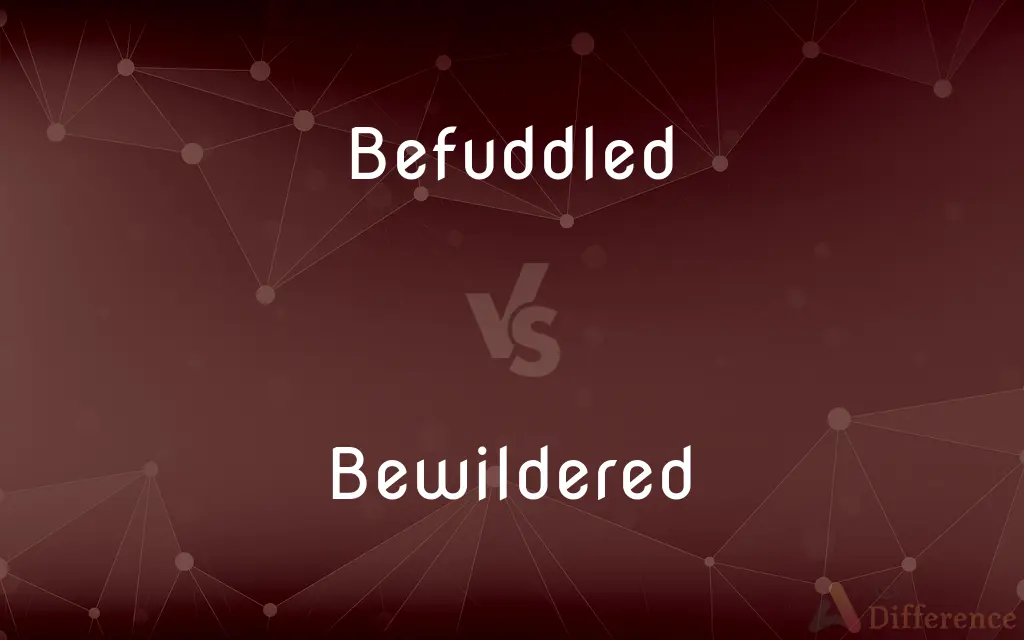 Befuddled vs. Bewildered — What's the Difference?