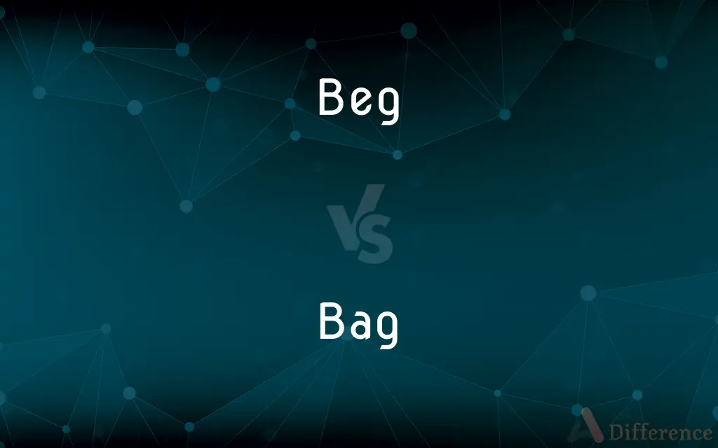 Beg vs. Bag — What's the Difference?