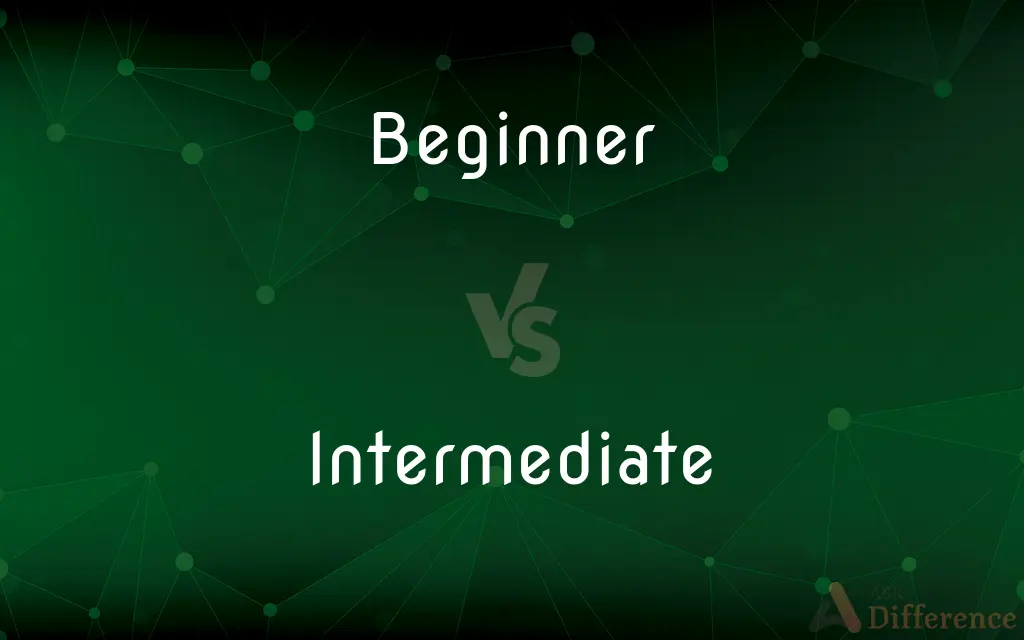 Beginner vs. Intermediate — What's the Difference?