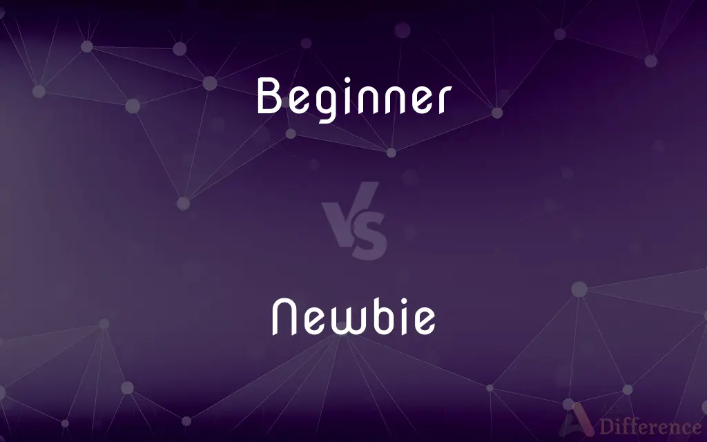 Beginner vs. Newbie — What's the Difference?