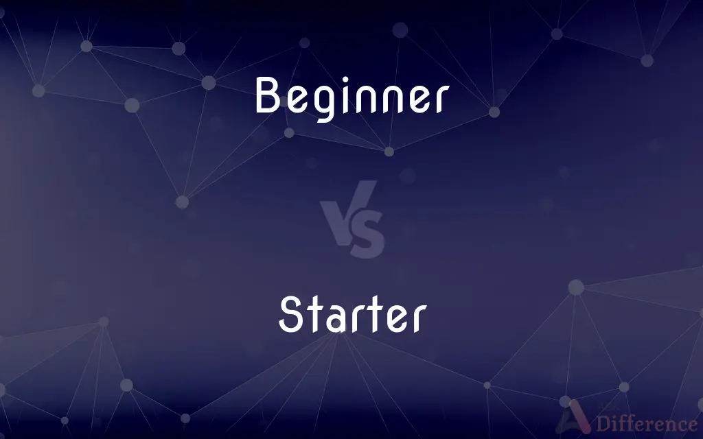 Beginner vs. Starter — What's the Difference?