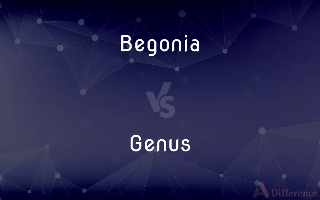 Begonia vs. Genus — What's the Difference?