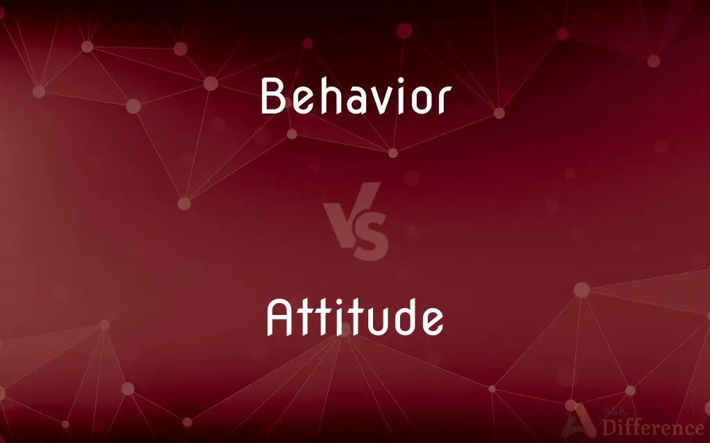 Behavior vs. Attitude — What's the Difference?