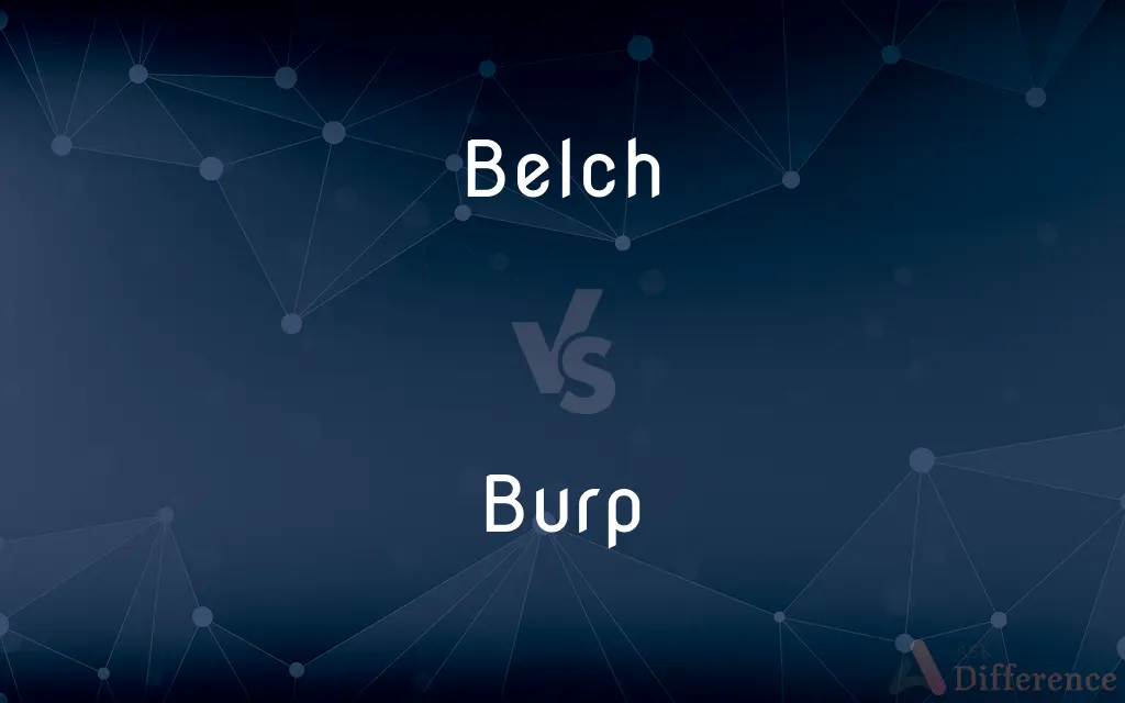 Belch vs. Burp — What's the Difference?