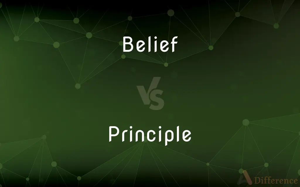 Belief vs. Principle — What's the Difference?