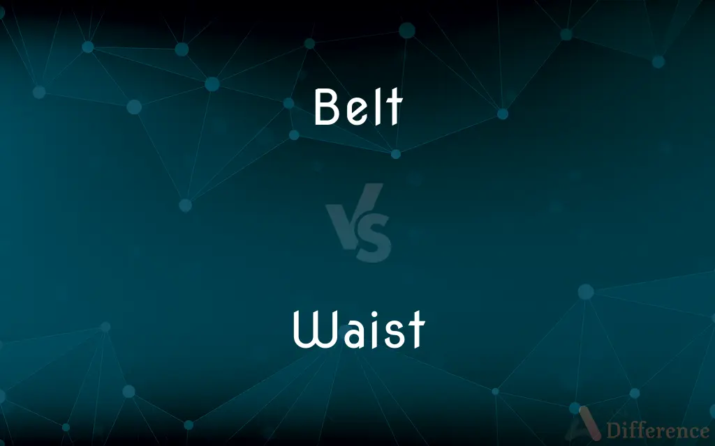 Belt vs. Waist — What's the Difference?