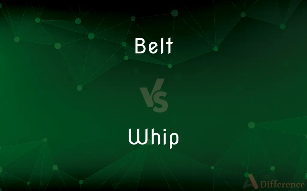 Belt vs. Whip — What's the Difference?