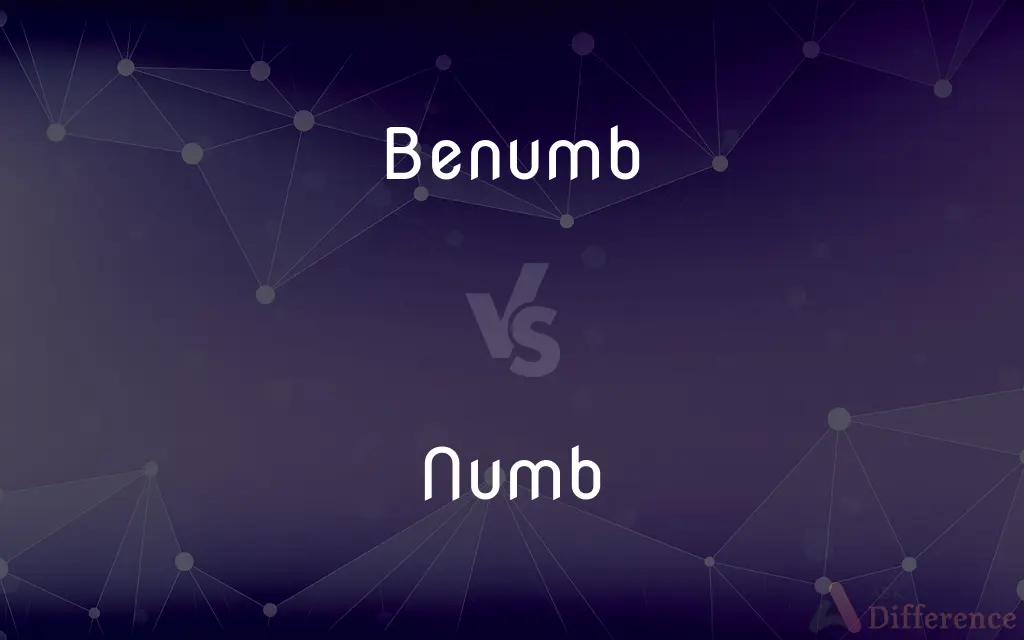 Benumb vs. Numb — What's the Difference?