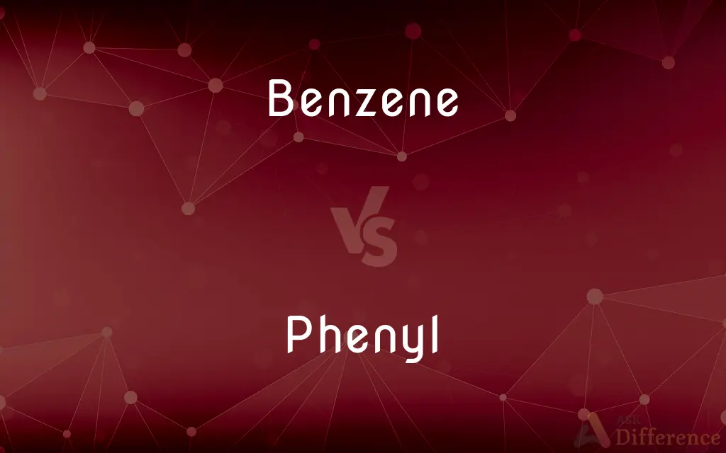 Benzene vs. Phenyl — What's the Difference?