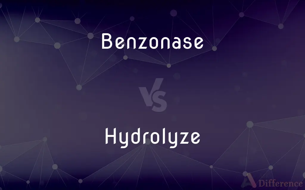 Benzonase vs. Hydrolyze — What's the Difference?