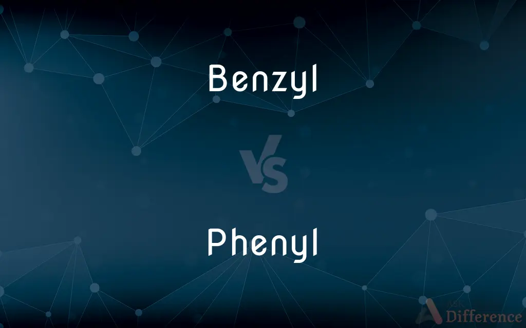Benzyl vs. Phenyl — What's the Difference?