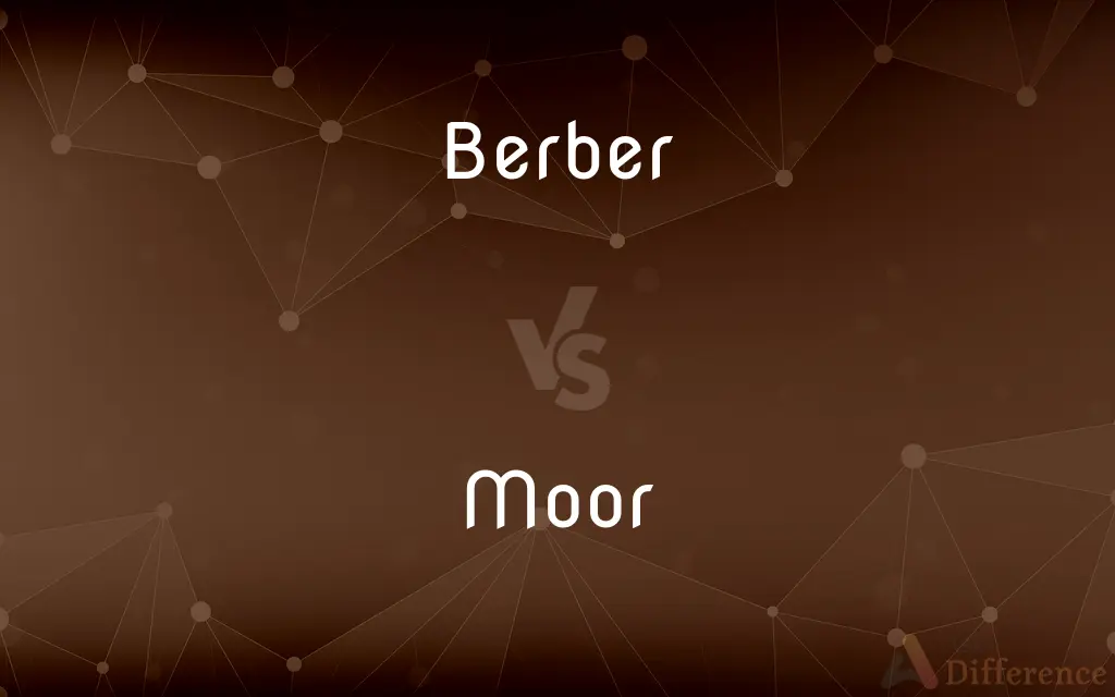 Berber vs. Moor — What's the Difference?