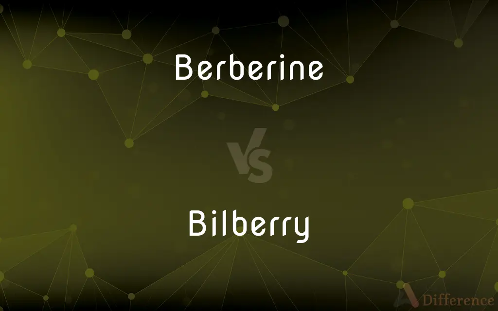 Berberine vs. Bilberry — What's the Difference?
