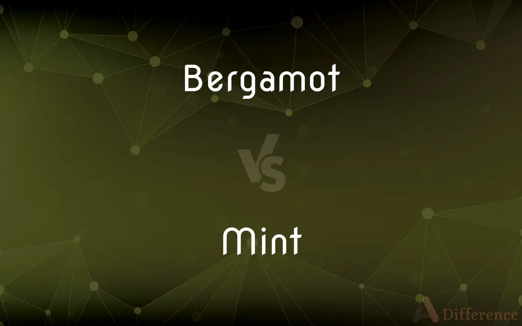 Bergamot vs. Mint — What's the Difference?