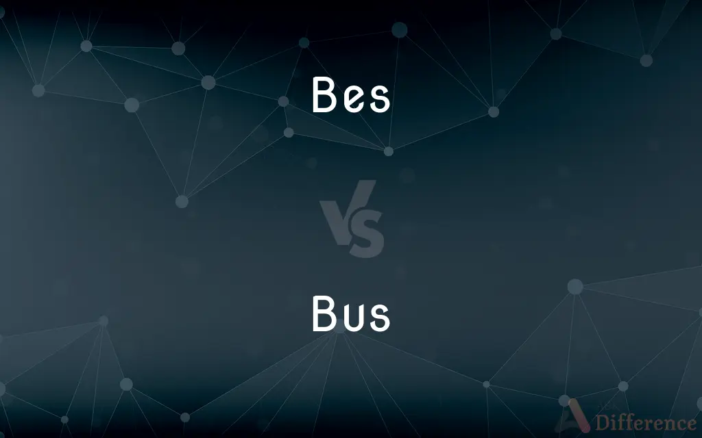 Bes vs. Bus — What's the Difference?