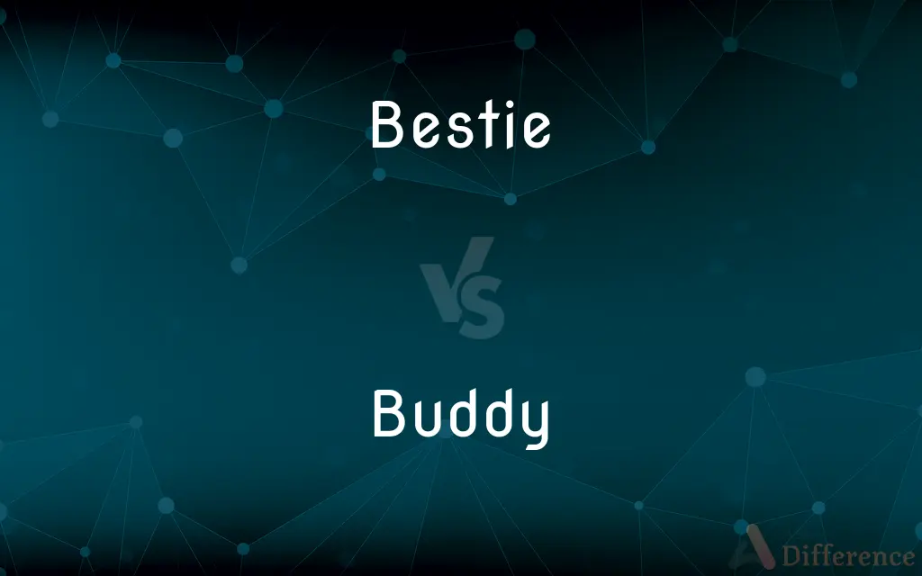 Bestie vs. Buddy — What's the Difference?