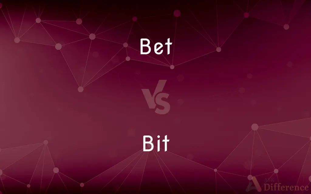 Bet vs. Bit — What's the Difference?