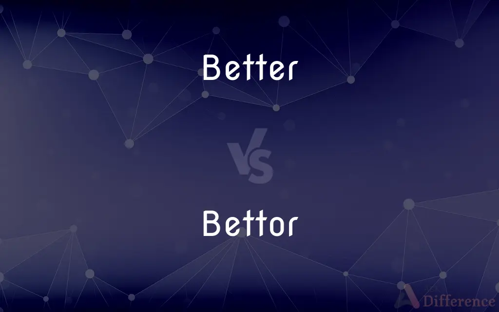 Better vs. Bettor — What's the Difference?