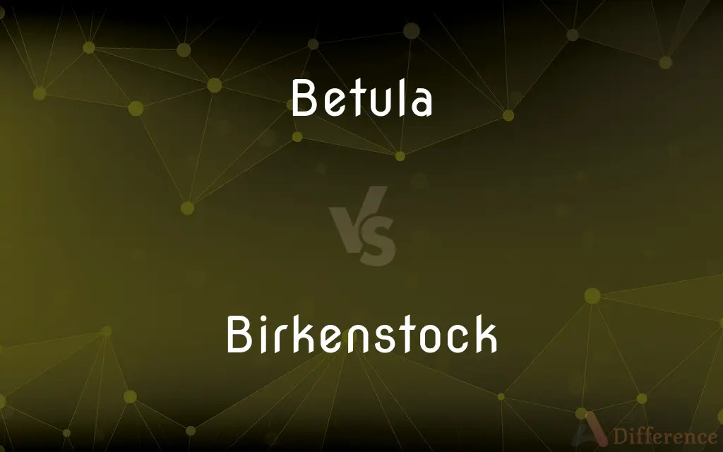 Betula vs. Birkenstock — What's the Difference?