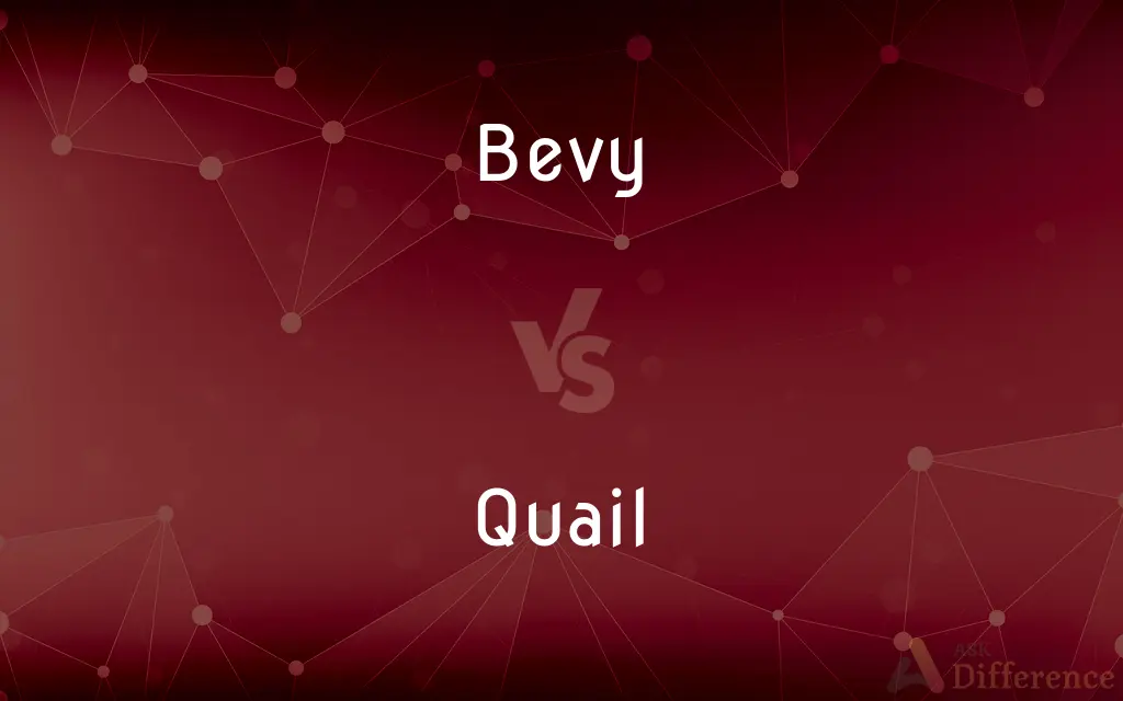Bevy vs. Quail — What's the Difference?
