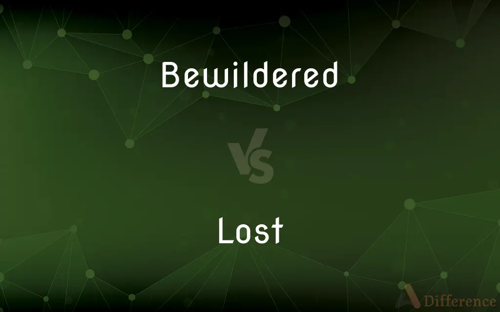 Bewildered vs. Lost — What's the Difference?