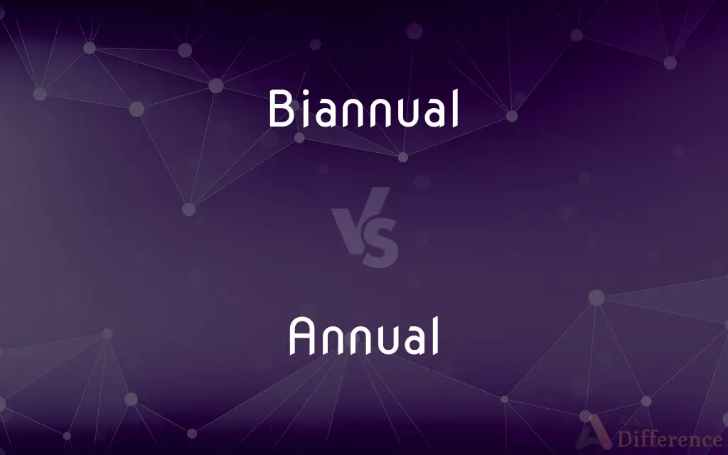 Biannual vs. Annual — What's the Difference?