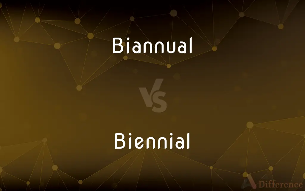 Biannual vs. Biennial — What's the Difference?