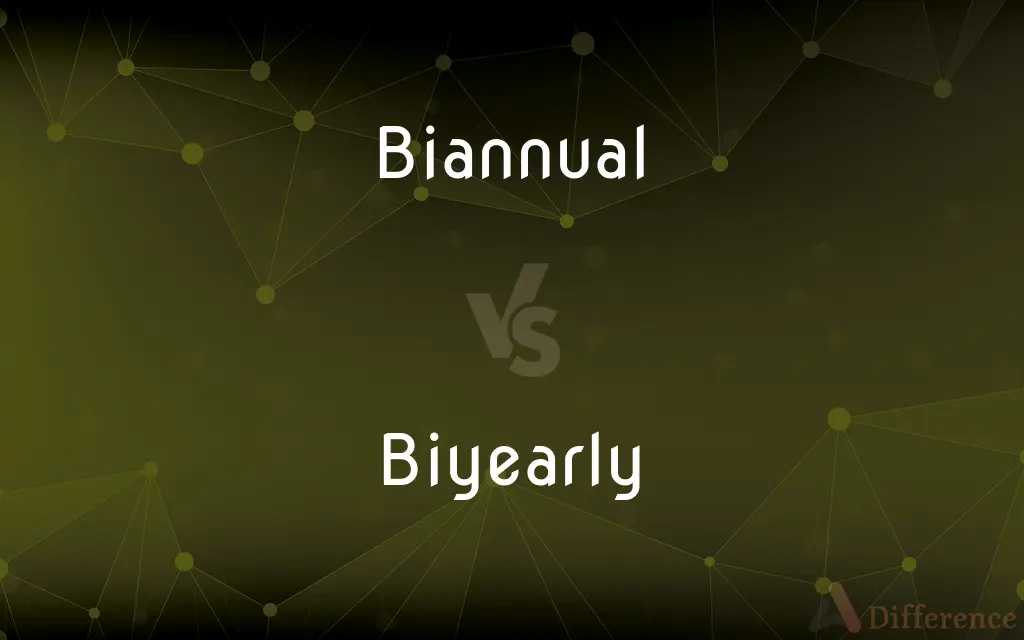 Biannual vs. Biyearly — What's the Difference?