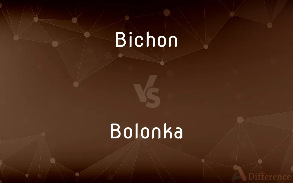 Bichon vs. Bolonka — What's the Difference?