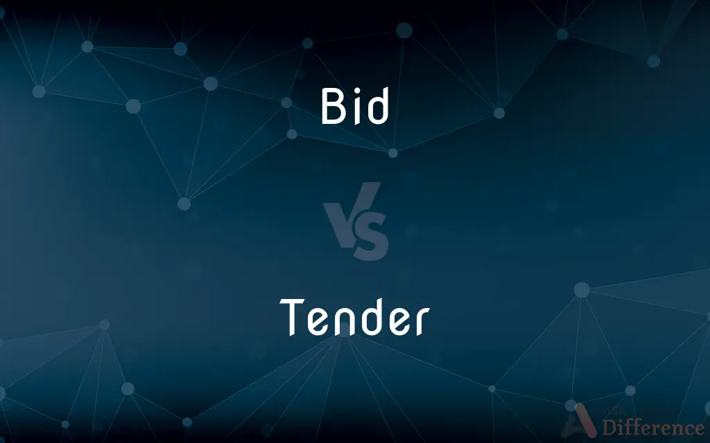 Bid vs. Tender — What's the Difference?